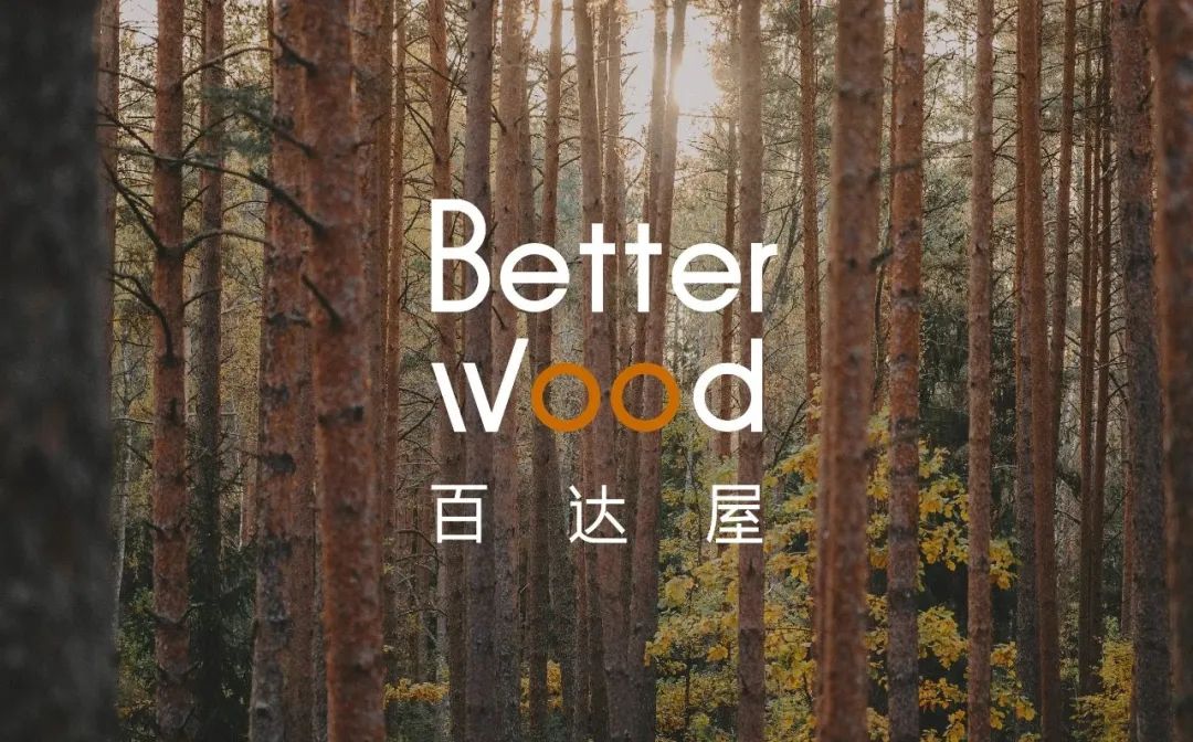 Membership 4.0 - Betterwood's Strategic Approach